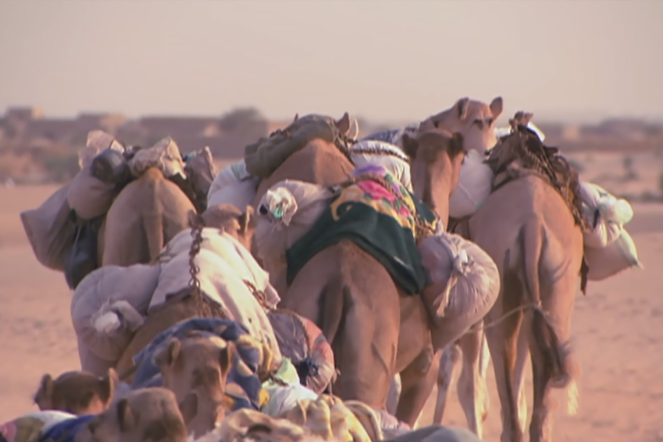 Capture decran 2022 05 25 012212