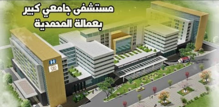 IMG 20221119 WA00531